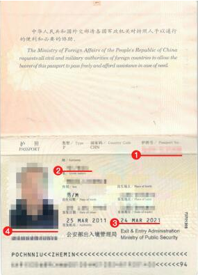 文莱签证护照模板